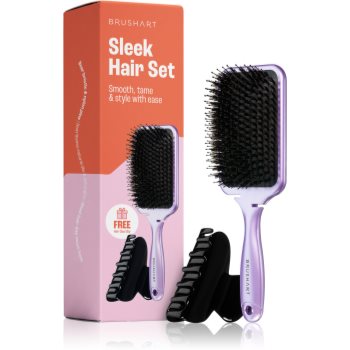 BrushArt Hair Sleek Hair Set ambalaj economic pentru păr